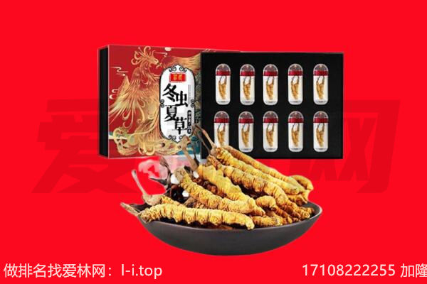 白银市景泰回收虫草.jpg